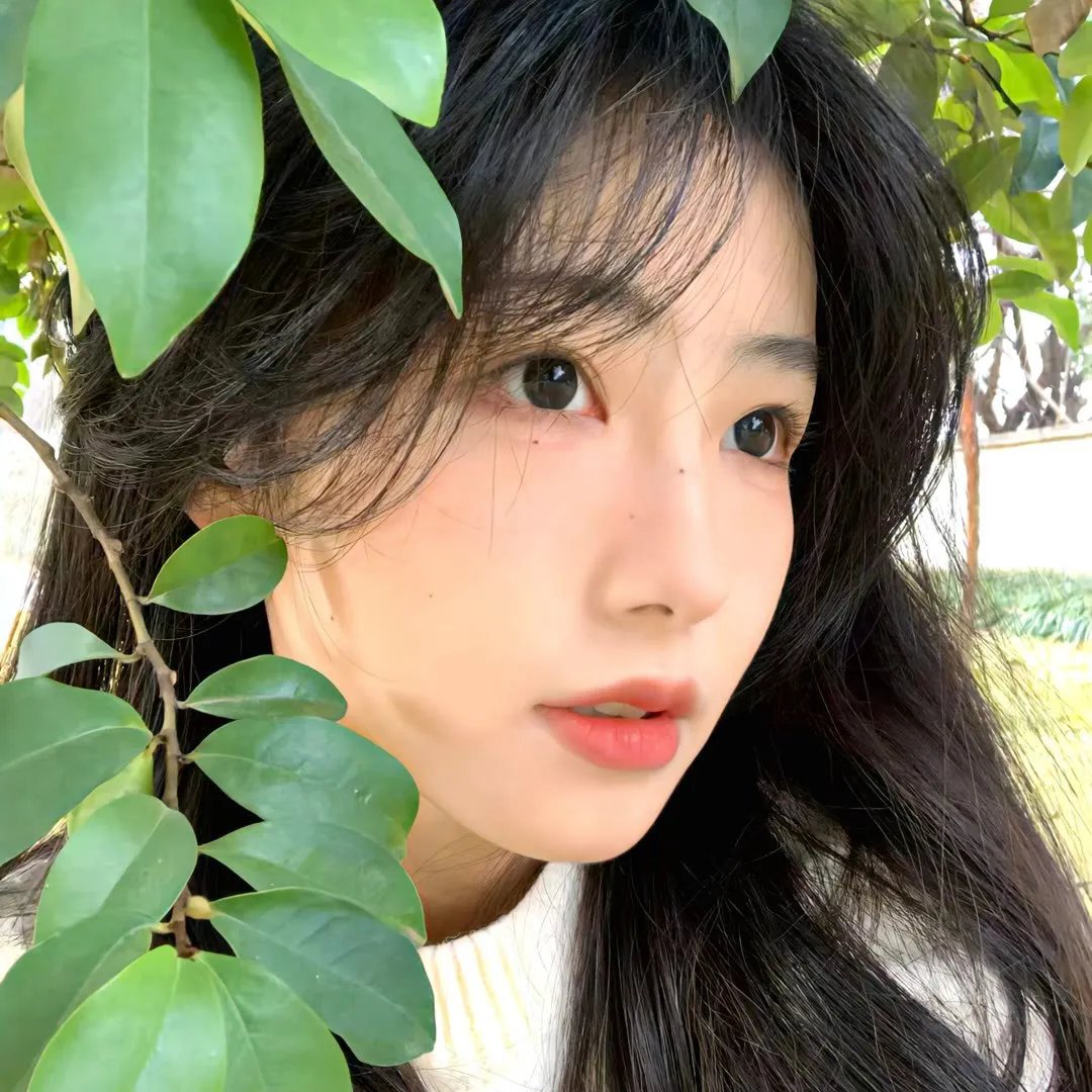 满溢的水果挞